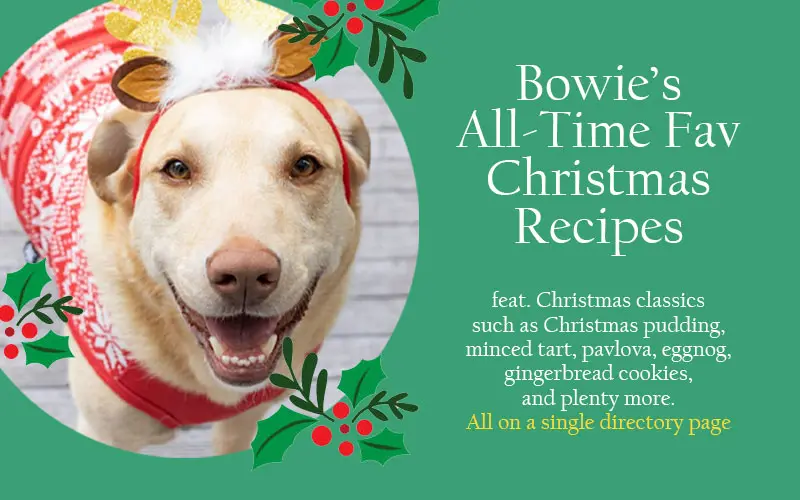 Master Bowie’s Christmas Dog Treat Recipes Directory