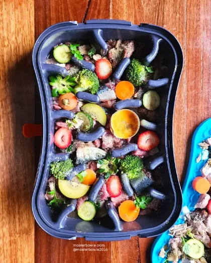 FREE Complete & Balanced Turkey & Sardine Dog Food Recipe