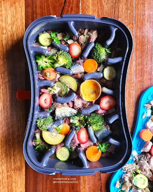 FREE Complete & Balanced Turkey & Sardine Dog Food Recipe