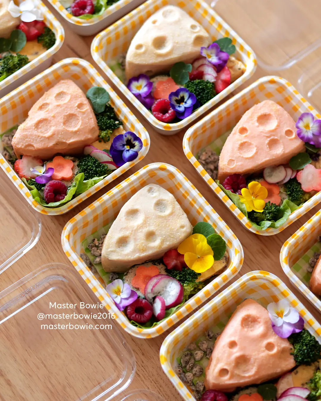 cheddar bento boxes_04