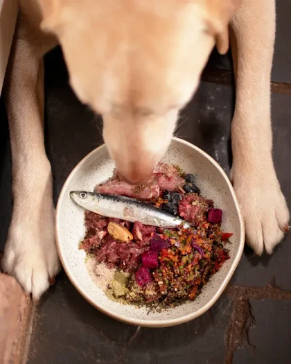 Monthly Canine Diet & Wellness Support