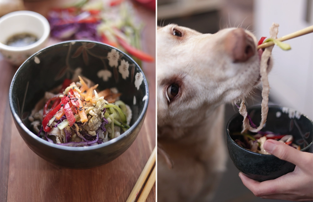 Bowie’s Asian Style Meat Noodles